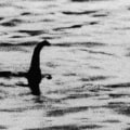 All You Need to Know About Nessie, the Loch Ness Monster