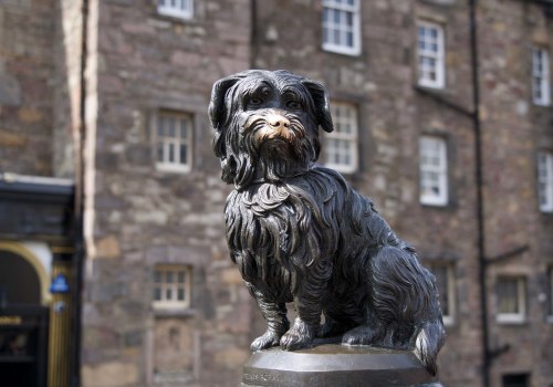 Uncovering the Fascinating Tale of Greyfriars Bobby
